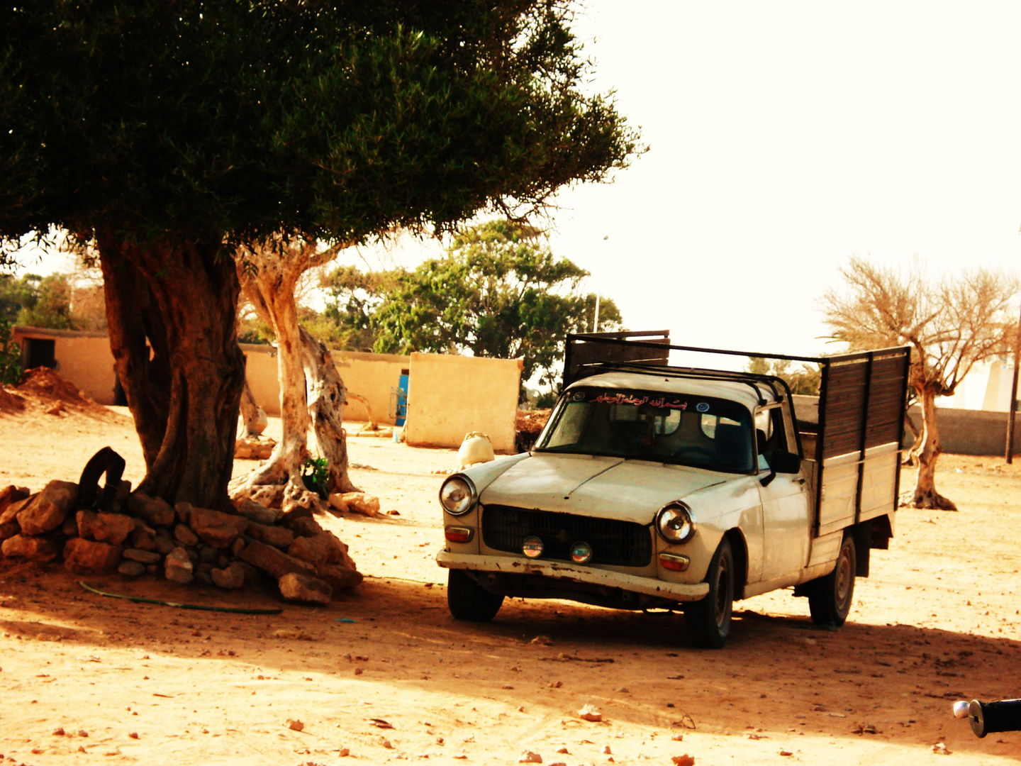 bienvenue dans l'oued