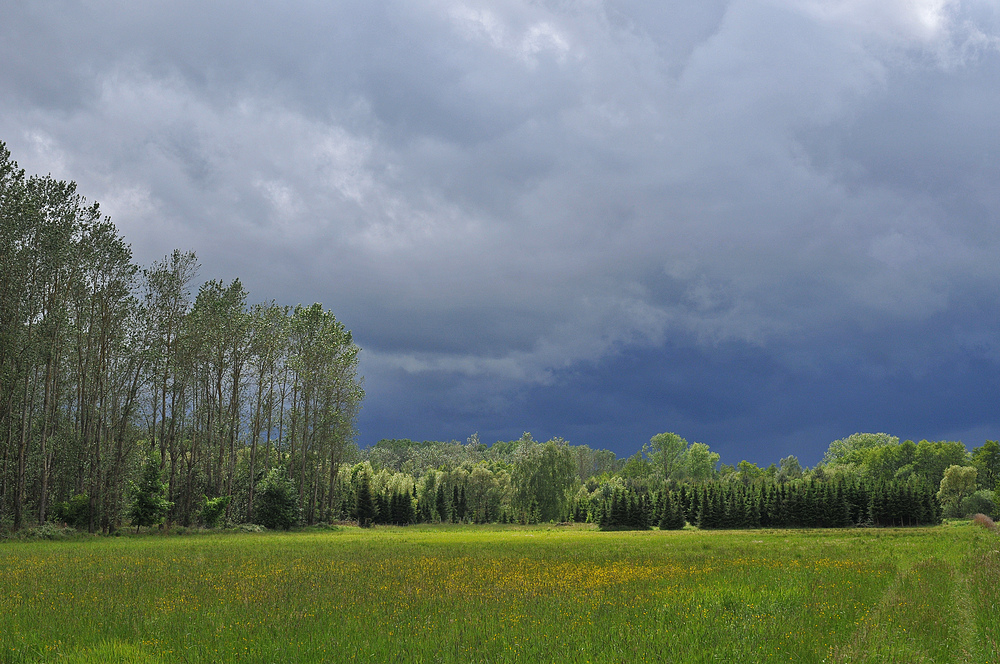 Bienwald: Gewitter – Himmel 01