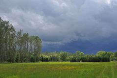 Bienwald: Gewitter – Himmel 01
