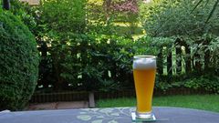 Bier mit Blick in den Garten