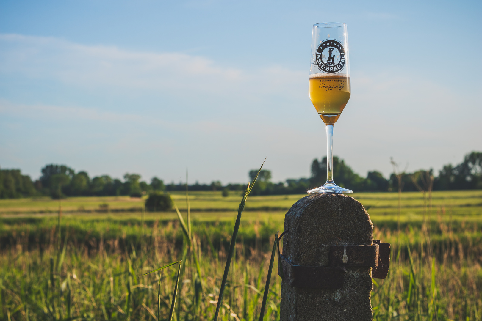 Bierchen in der Natur