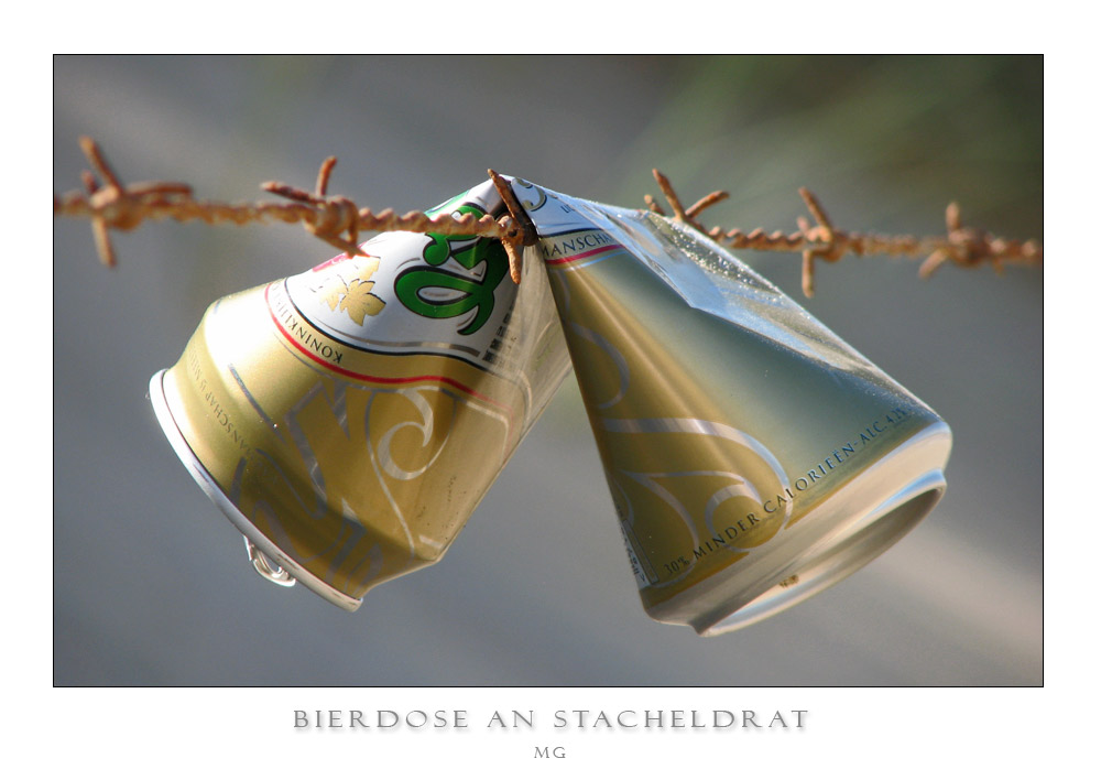 Bierdose an Stacheldrat