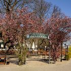 Biergarten am Bundeskanzleramt