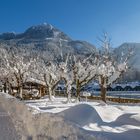 Biergarten am Königssee geschlossen