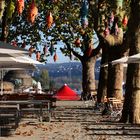 Biergarten an einem Herbstmorgen