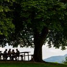 Biergarten bei Murnau/Staffelsee