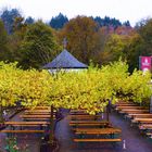 Biergarten des Klosters Marienstatt