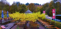 Biergarten des Klosters Marienstatt