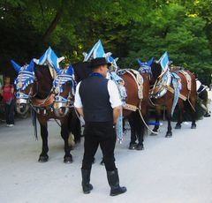 Biergarten-Gespann