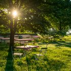 Biergarten im Gegenlicht