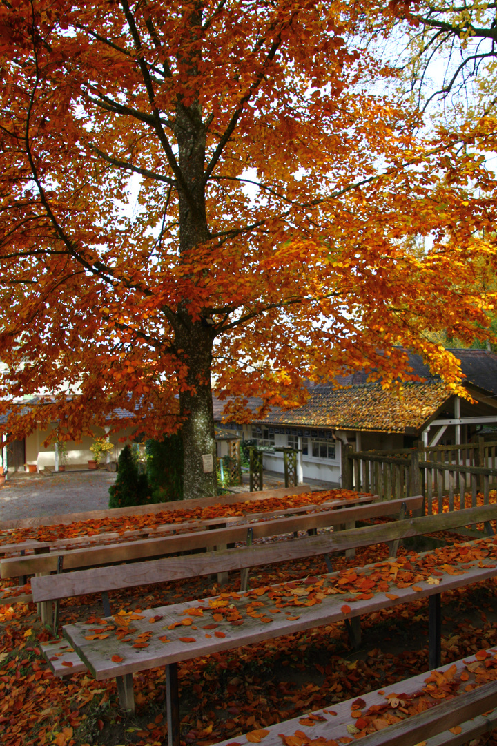 Biergarten im Herbst