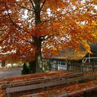 Biergarten im Herbst