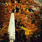 Biergarten im Herbst