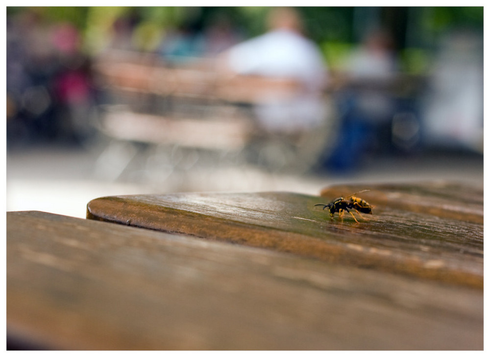 Biergartenbesucher