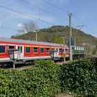 Biergartenstimmung in Murrhardt