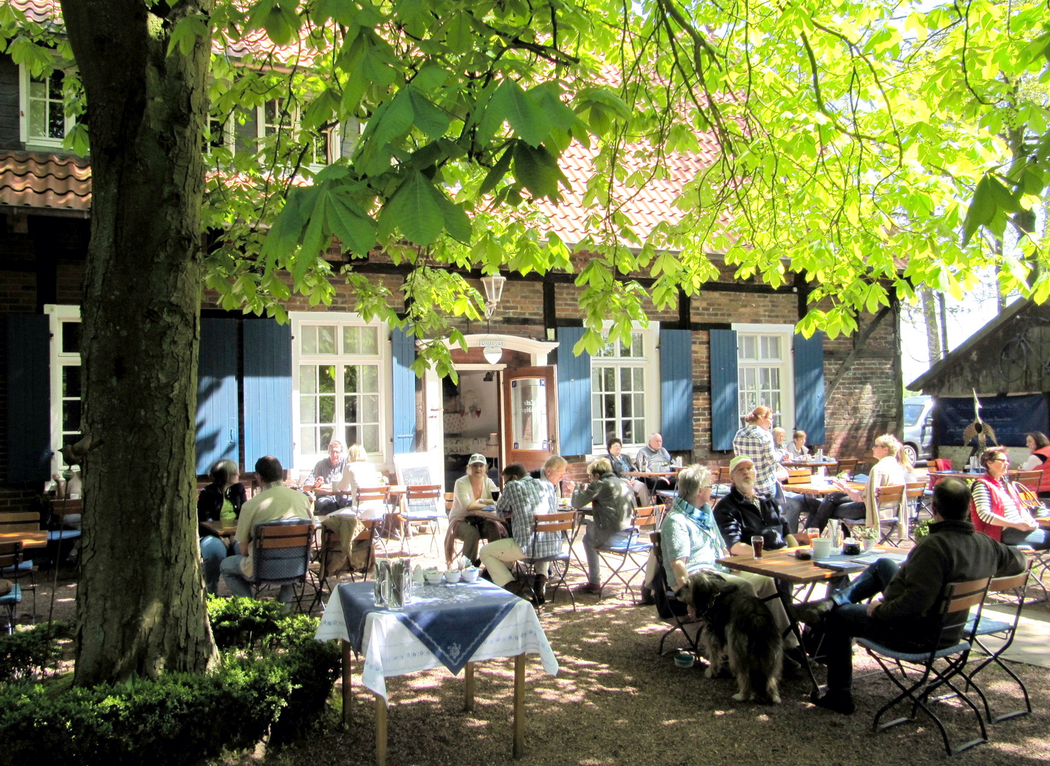  Biergartenwetter