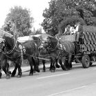 Biertransport