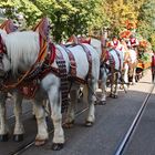 Biertransport