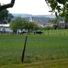 Biesdorf (Eifel) im Sommer