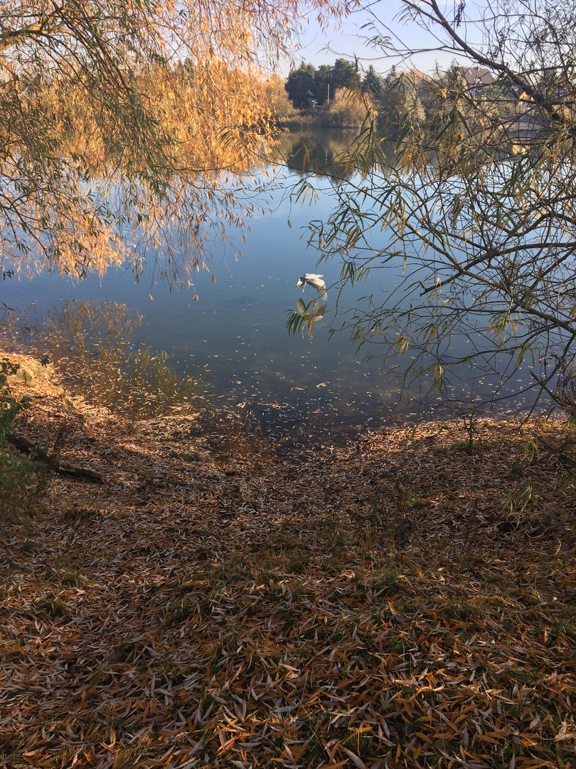 Biesdorfer Baggersee