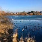 Biesdorfer Baggersee