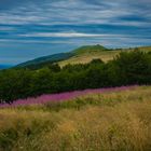 bieszczady