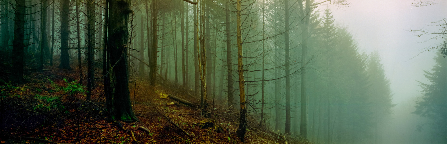 Bieszczady Mountains