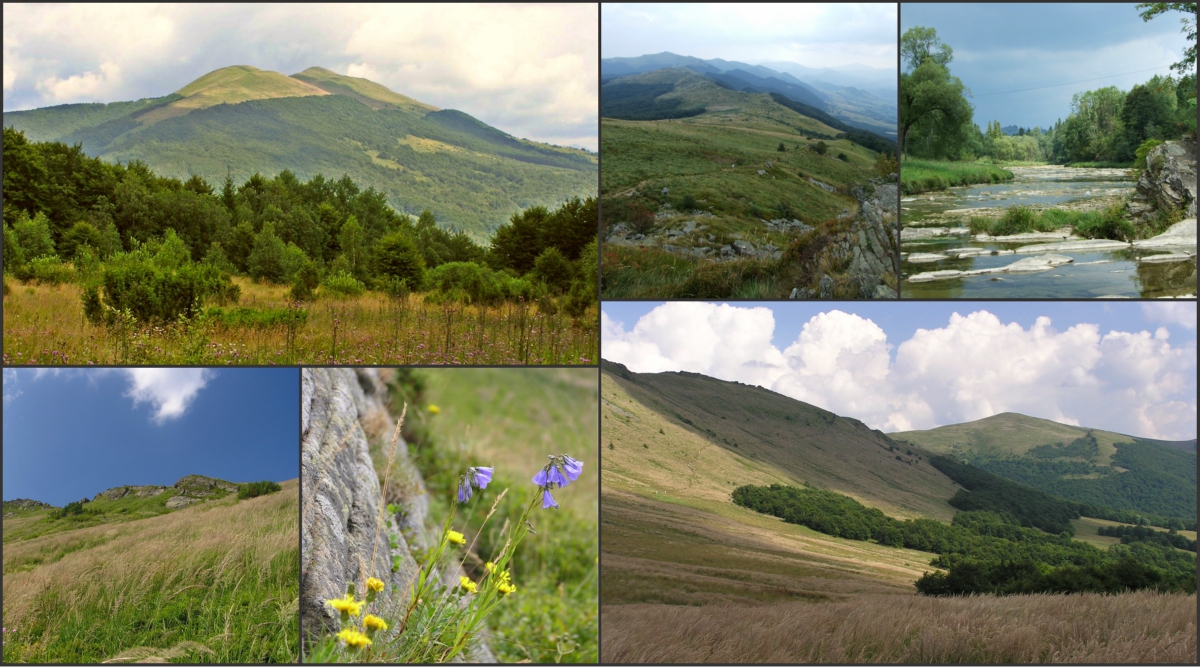 Bieszczady mountains