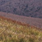 Bieszczady Mountains, Poland