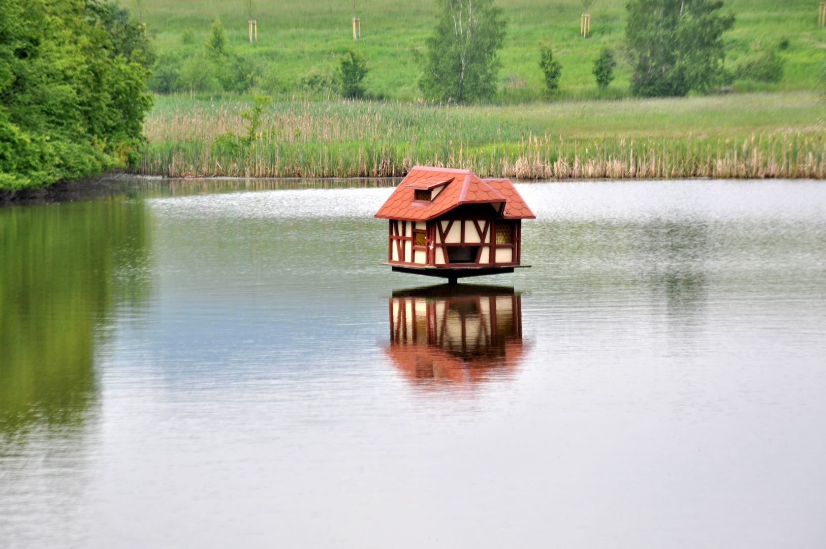 Biete Wohnung In Entenhausen Foto Bild Landschaft Bach Fluss See See Teich Tumpel Bilder Auf Fotocommunity