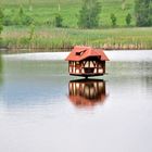 Biete Wohnung in Entenhausen