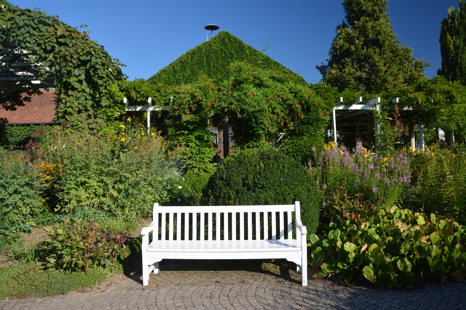 Bietigheim Bissingen Die Ruhebank Foto & Bild landschaft, garten