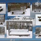 Bietigheim-Bissingen-Winter-15