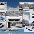 Bietigheim-Bissingen-Winter-16