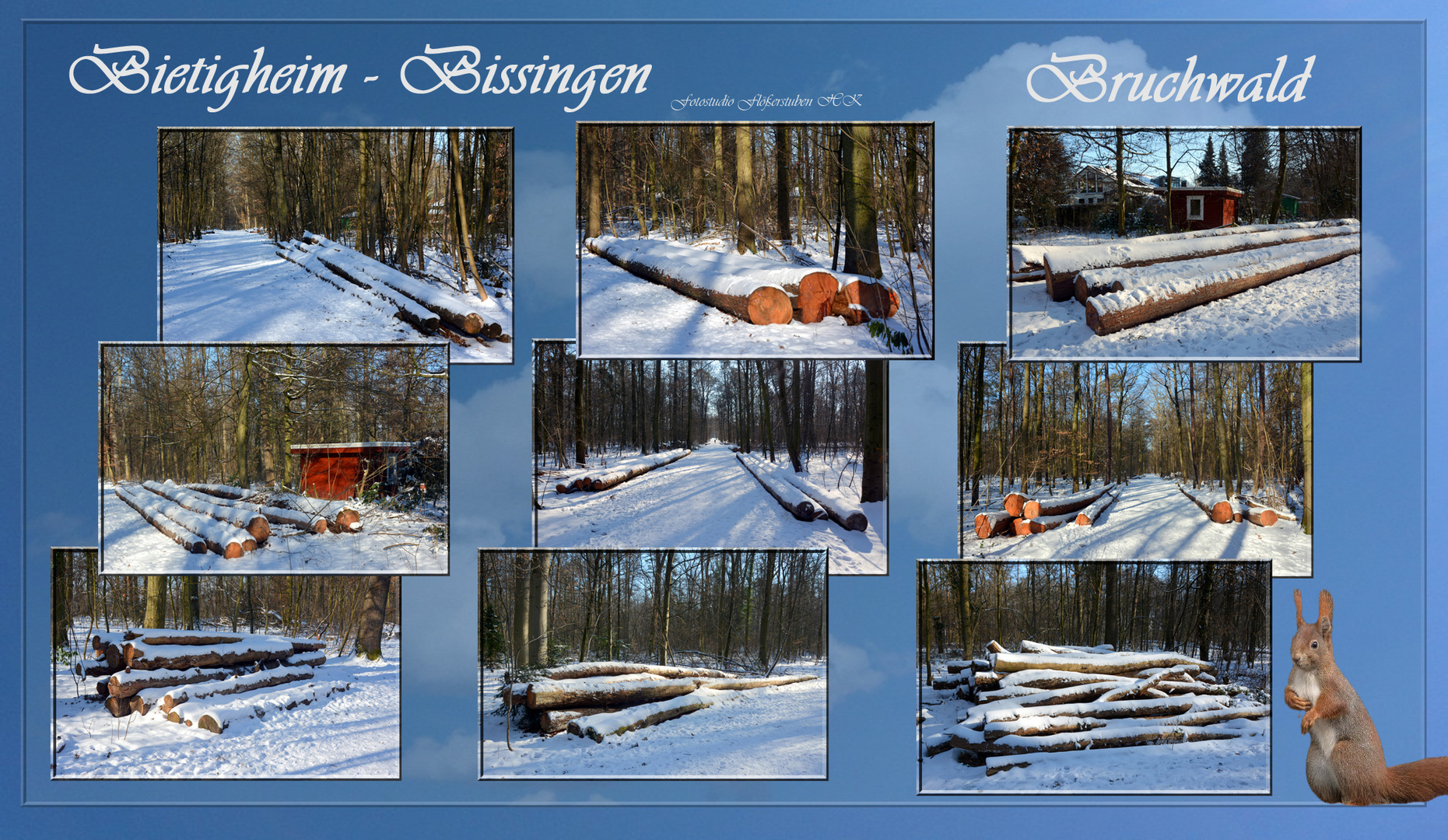 Bietigheim-Bissingen-Winter-19