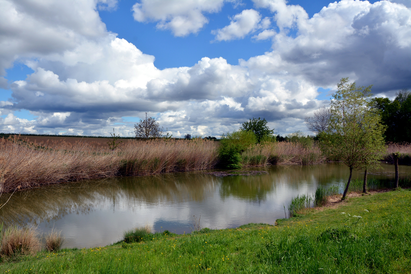 Bietigheim-Bissingen/Bissingen-Wolken