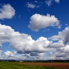 Bietigheim-Bissingen/Bissingen-Wolken