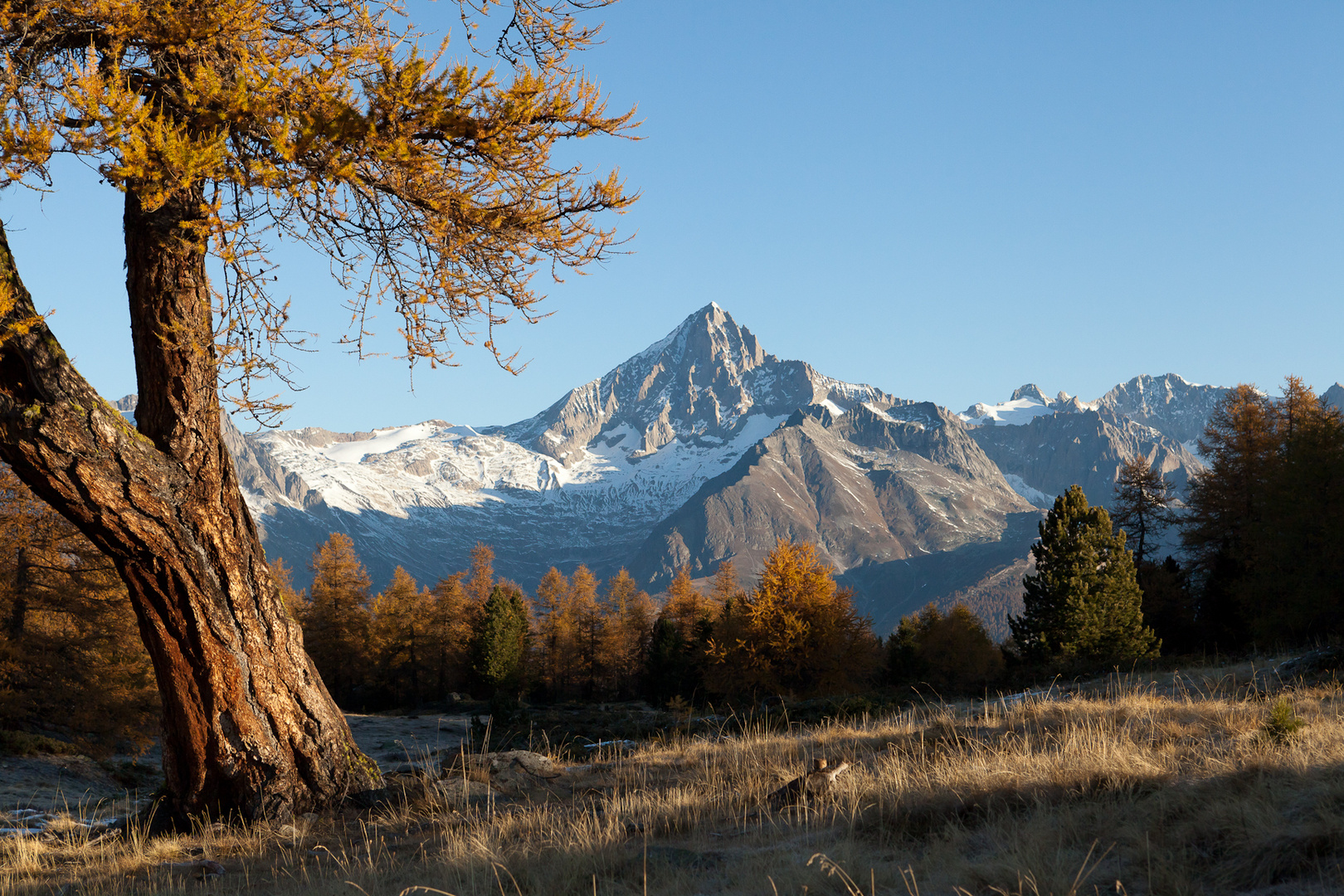 Bietschhorn