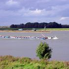 Bifurkation des Rheins bei Millingen (NL) ...