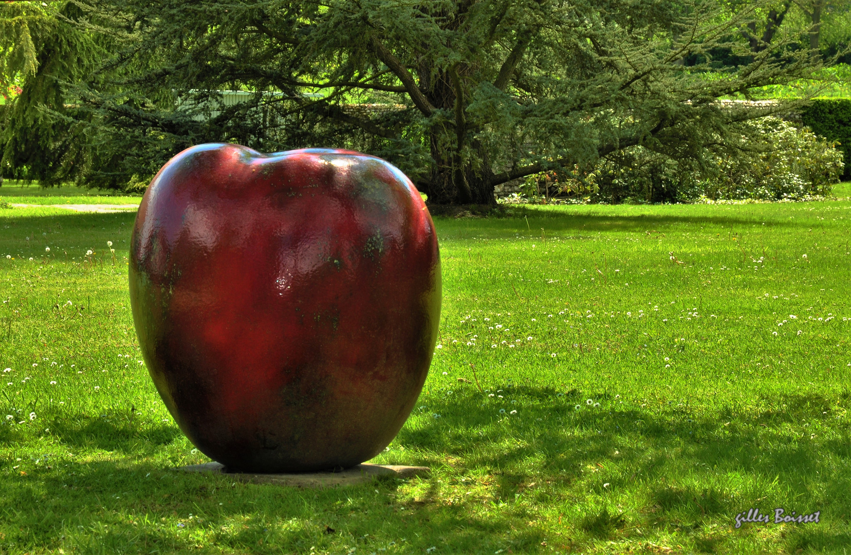 Big apple of New-York 