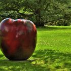 Big apple of New-York 