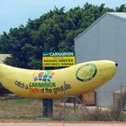 ..Big Banana..