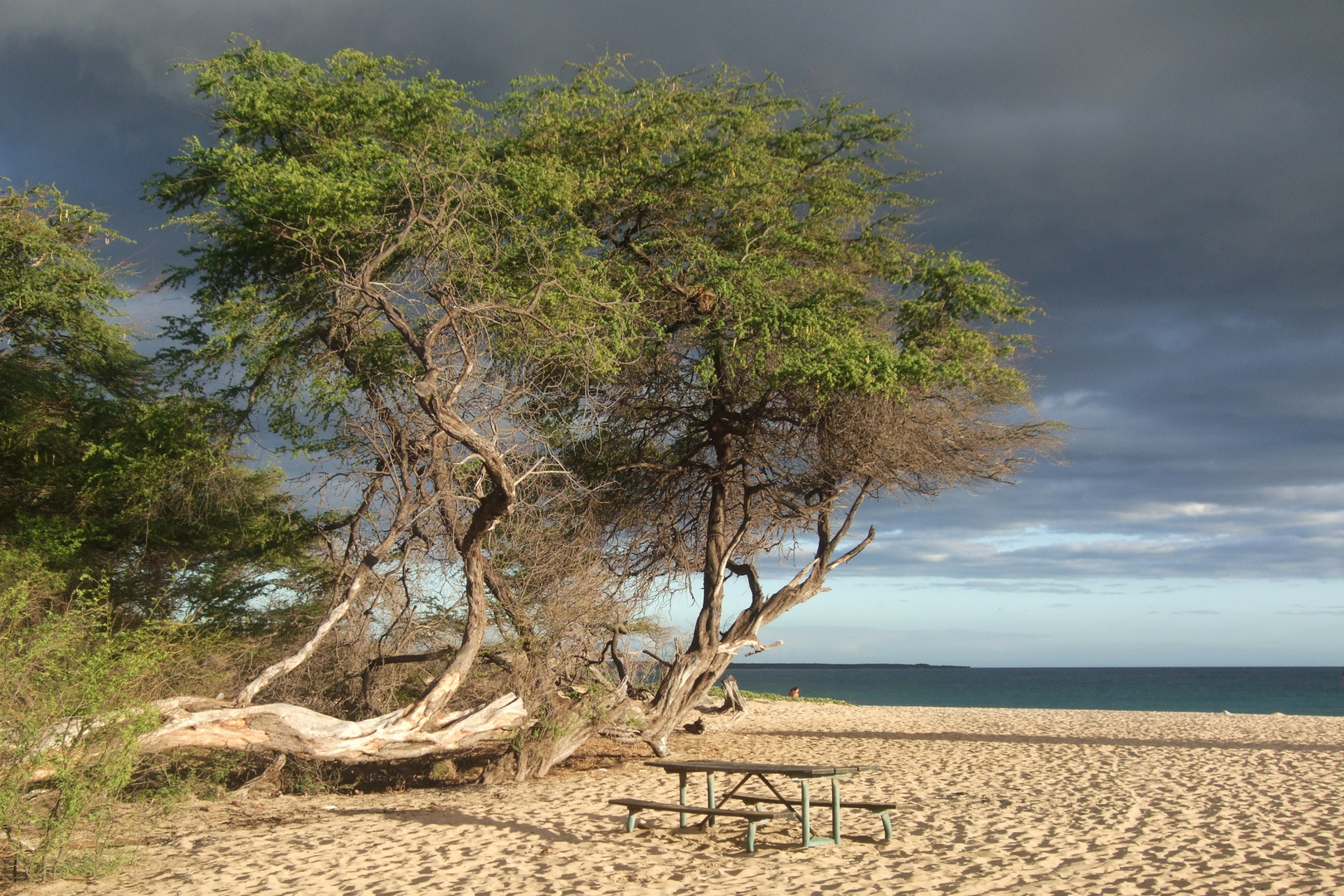 Big Beach Maui