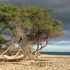 Big Beach Maui