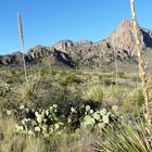 Big Bend