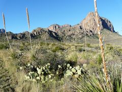 Big Bend