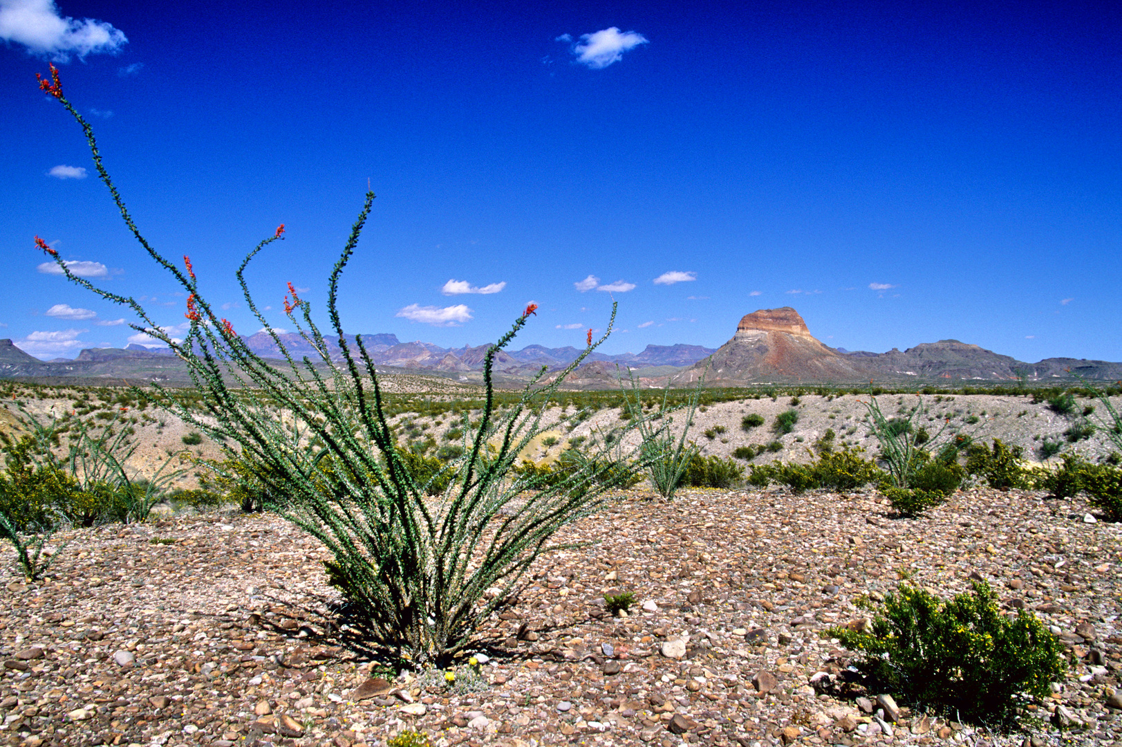 Big Bend National Park