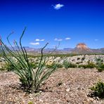 Big Bend National Park