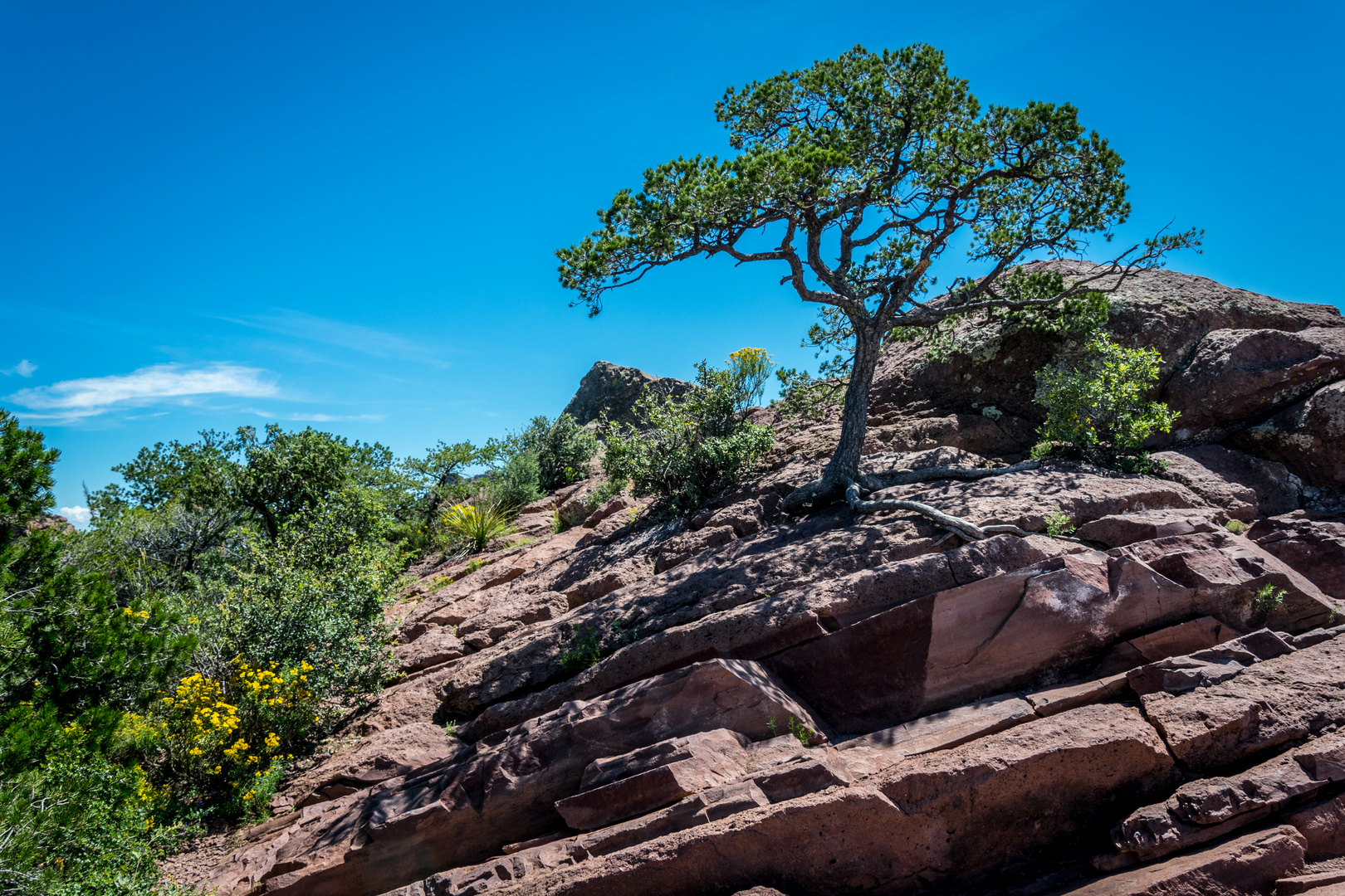 Big Bend National Park Emory Peak