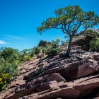 Big Bend National Park Emory Peak